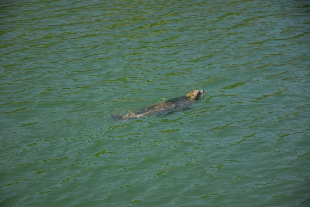 Photos Lot B, 5 oceanfront acres Southern Gulf Islands Real Estate